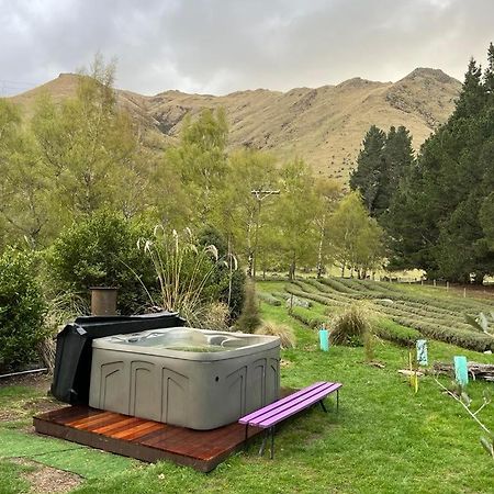 Вилла Danseys Pass Lavender Farm Tokarahi Экстерьер фото