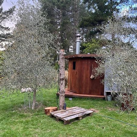 Вилла Danseys Pass Lavender Farm Tokarahi Экстерьер фото